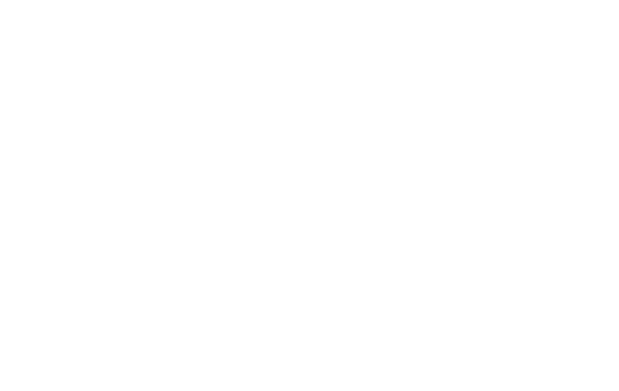 Wordmark, white